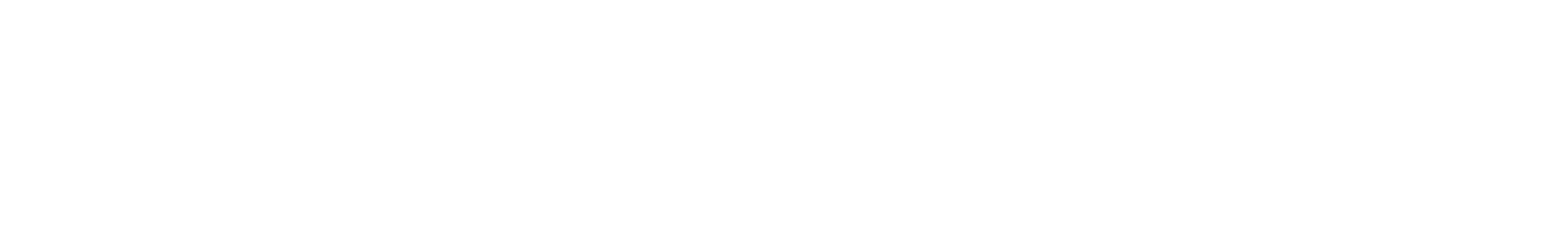 TopBonusar logotyp